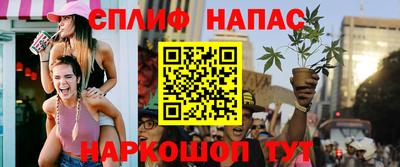 шишки Белореченск