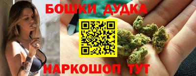 шишки Белореченск