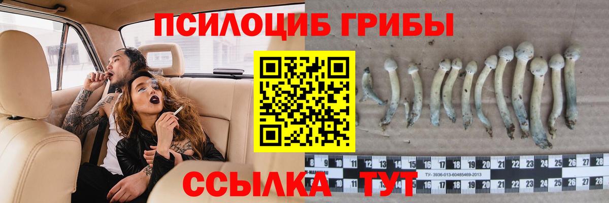 Галлюциногенные грибы Magic Shrooms  Псилоцибиновые грибы Psilocybe  Клин  Вход с VPN 